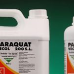 Loại bỏ thuốc bảo vệ thực vật chứa hoạt chất 2.4 D và Paraquat