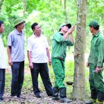 Truông Bát ngày về