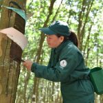 Tự hào truyền thống, vững bước vươn xa