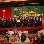 Thủ tướng Chính phủ ban hành Nghị định về Điều lệ tổ chức và hoạt động của VRG