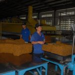 Đa dạng hóa thị trường tiêu thụ cao su