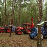 Kinh nghiệm phòng trị bệnh phấn trắng (kỳ 3)