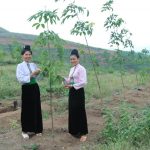 Tục Tằng cẩu của người Thái ở Sơn La