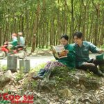 Bổ sung yêu cầu xét chọn gia đình tiêu biểu truyền thống công nhân cao su