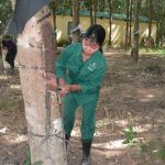 Ngọt bùi nhớ lúc đắng cay