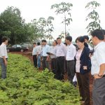 Sẽ có gói giải pháp kỹ thuật bổ sung Quy trình Kỹ thuật 2012