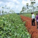 Đề tài nghiên cứu khoa học phải xuất phát từ thực tiễn sản xuất