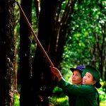 Chuyện của  hai viên đá mài