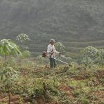 Điều chỉnh quy định quản lý suất đầu tư nông nghiệp