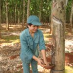 Tấm gương nữ Đảng viên trẻ học và làm theo Bác