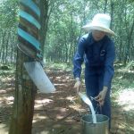 Đừng nghỉ việc hưởng lợi trước mắt!