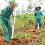 Thưởng thi đua nước rút đến 35 triệu đồng/đơn vị