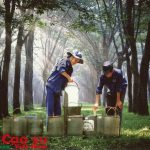 Tinh thần Phú Riềng Đỏ là động lực để vượt qua khó khăn