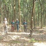 Ea Wy quyết tâm về đích trước thời hạn