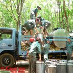 Nước rút cuối năm