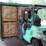 Công ty Dầu Tiếng xuất khẩu gần 25.350 tấn mủ