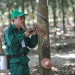 Thưởng cho mỗi thí sinh 2,5 triệu đồng