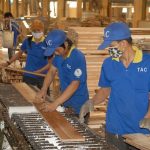 Không bán gỗ thanh lý một lần