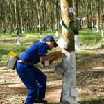 Dù khó khăn kết quả vẫn khởi sắc