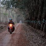 Vàng trắng thấm tình yêu, tình người