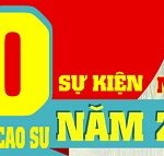 10 sự kiện nổi bật ngành cao su năm 2014