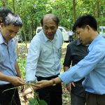 Tăng năng suất, hiệu quả và phát triển bền vững
