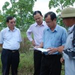 7 giải pháp cho các công ty Tây Nguyên trong năm 2015