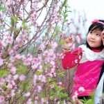 Du Xuân ấm áp, tiết kiệm