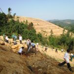 Miền Trung ra quân trồng mới cao su đầu năm