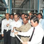 Đại biểu Quốc hội nói về cây cao su