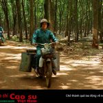 Tạ từ tháng ba