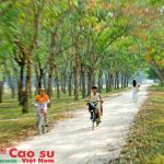 Màu xanh tôi yêu