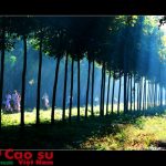 Phú Riềng quê hương em