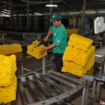 Thực hiện tốt đợt phát động thi đua yêu nước