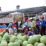 Đừng như dưa hấu
