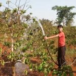 Tây nguyên mùa này thiếu nước