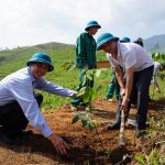 Ra quân trồng mới 200 ha cao su tại Mường Tè, Lai Châu