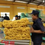 Đảng bộ Cao su Hòa Bình: 5 năm liền trong sạch vững mạnh