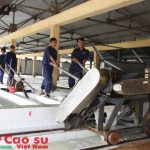Đại biểu Quốc hội tỉnh Quảng Trị tiếp xúc cử tri công nhân cao su