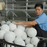Giảm chi phí, tăng năng suất trong sản xuất bóng thể thao