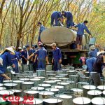 Trao giải thưởng Cao su Việt Nam vào cuối tháng 7