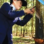 Đề xuất nữ công nhân cạo mủ cao su nghỉ hưu tuổi 47