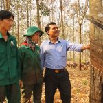 Nông trường Tân Hưng (Cao su Đồng Phú) vượt sản lượng gần 26%/năm