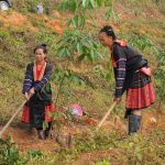 Nỗ lực vượt khó, tạo dựng niềm tin nơi vùng cao