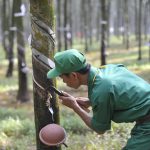 Giải pháp kỹ thuật khi áp dụng cạo D4