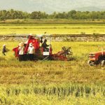 Khơi thông tín dụng phát triển nông nghiệp, nông thôn