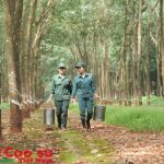 Nghỉ hưu tuổi 47: Vui mừng, phấn khởi