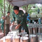 Miệt mài trên vườn cây