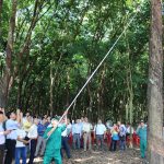 Đơn vị điển hình trong Câu lạc bộ 2 tấn