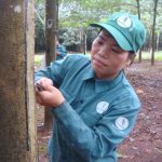Học và làm theo Bác để hoàn thiện mình